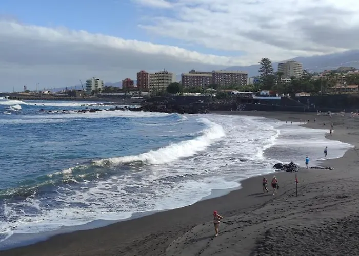 La Tortuga Azul A Puerto de la Cruz (Tenerife)